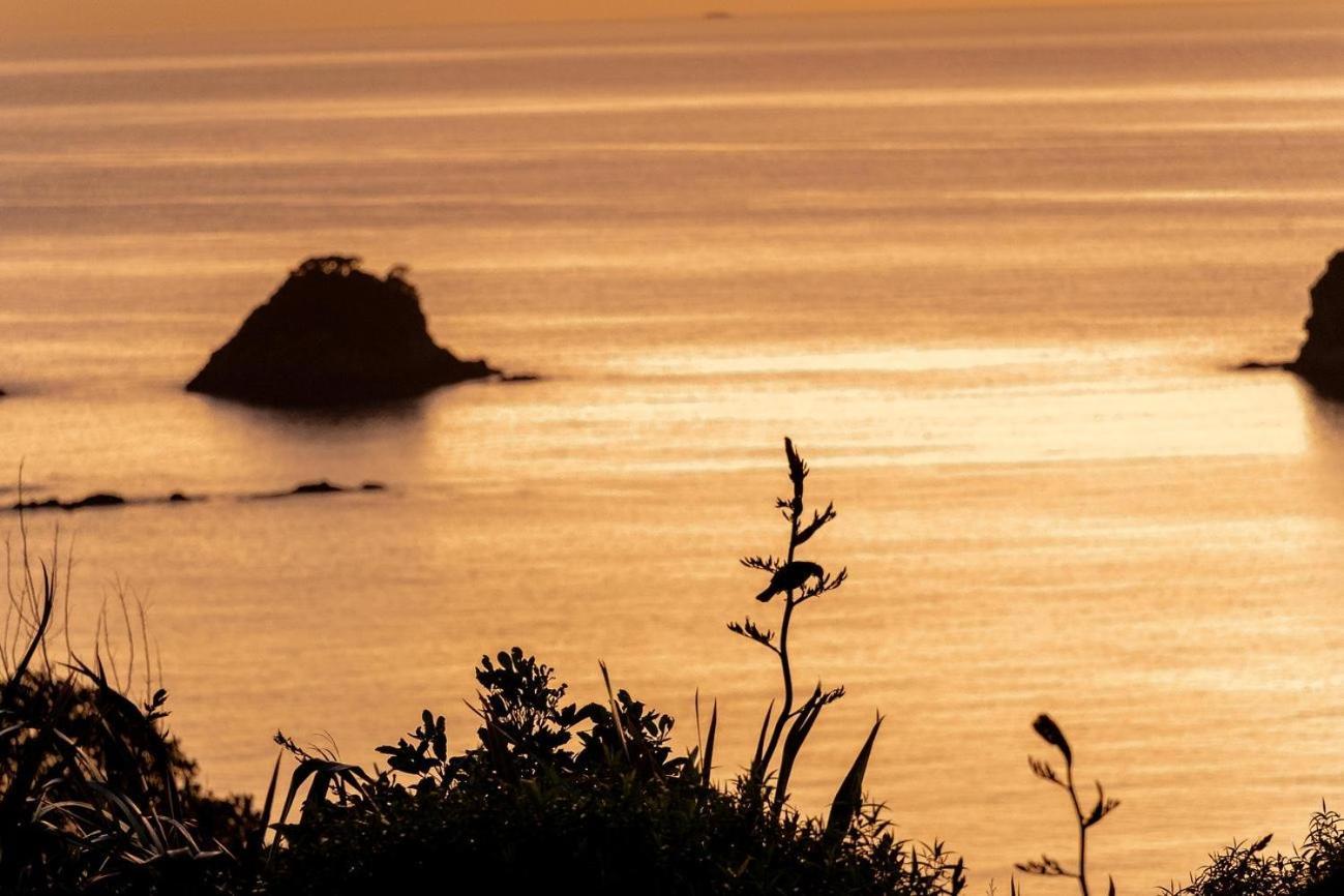 Cathedral Cove And Sunrise Apartman Hahei Kültér fotó